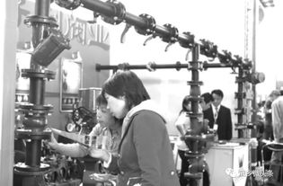 都來看看 龐各莊這些年的產(chǎn)業(yè)提升有多強