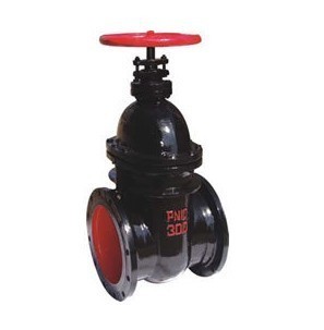 【Z44H、Z44Y 型 PN16~PN160 鋼制平行式雙閘板閘閥】?jī)r(jià)格,廠家,圖片,閥門,浙江中偉閥門制造-